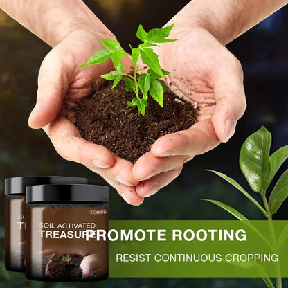 Ignites Growth Potential