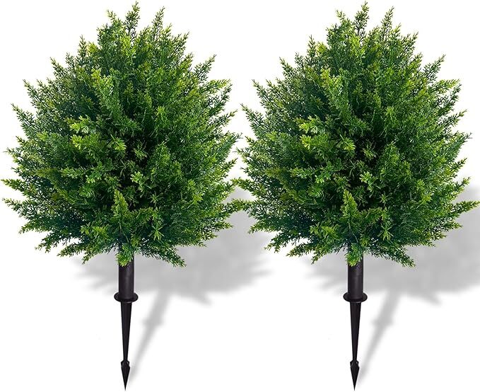 CedarGreen