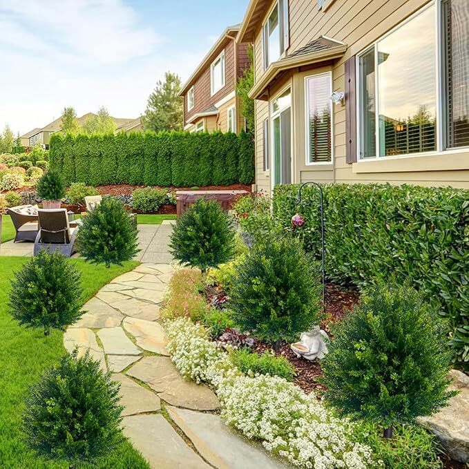 CedarGreen
