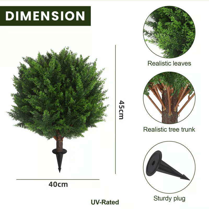 CedarGreen